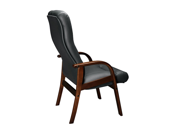 Чиф ДPlus (Chief DPlus) CHF37150001_3.jpg